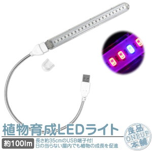 A琬Cg LED A琬 ϗtA 琬Cg A琬 A Cg ͔| k͔| ؍H ledCg 10W 5V USBd o[Cg A̐𑣐i ԐF+F i tX