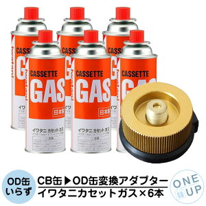 �C���^�j �J�Z�b�g�K�X 6�{ CB�� OD�� �ϊ��A�_�v�^�[�K�X�{���x CB-250-OR CB�ʂ�OD�ʃo�[�i�[�ɐڑ� Iwatani �K�X�R���� �K�X�� �A�_�v�^�[ �ϊ� �݊� �A�E�g�h�A�� T�^�{���x �h�� �L�����v �A�E