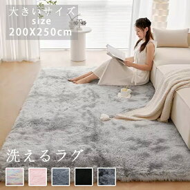 【マラソン期間限定10%OFF】ラグ ラグマット シャギー シャギーラグ カーペット オシャレ 北欧 厚手 洗える 一人暮らし ふかふか ふわふわ ロングシャギー 抗菌 絨毯 ホットカーペット対応 床暖房対応 リビング ふわふわ 冬用「正方形 長方形」