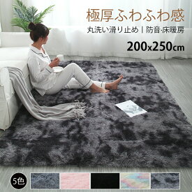 ラグ ラグマット シャギー シャギーラグ カーペット オシャレ 北欧 厚手 洗える 一人暮らし ふかふか ふわふわ ロングシャギー 抗菌 絨毯 ホットカーペット対応 床暖房対応 リビング ふわふわ 冬用「正方形 長方形」