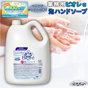 yubNtCf[聚I50ōő100obNzԉ rIU Anh\[v 4L Ɩp lߑւ e 􂢗p A^Cv   ۈ {݌ qǗ ܂Ƃߔ @l 