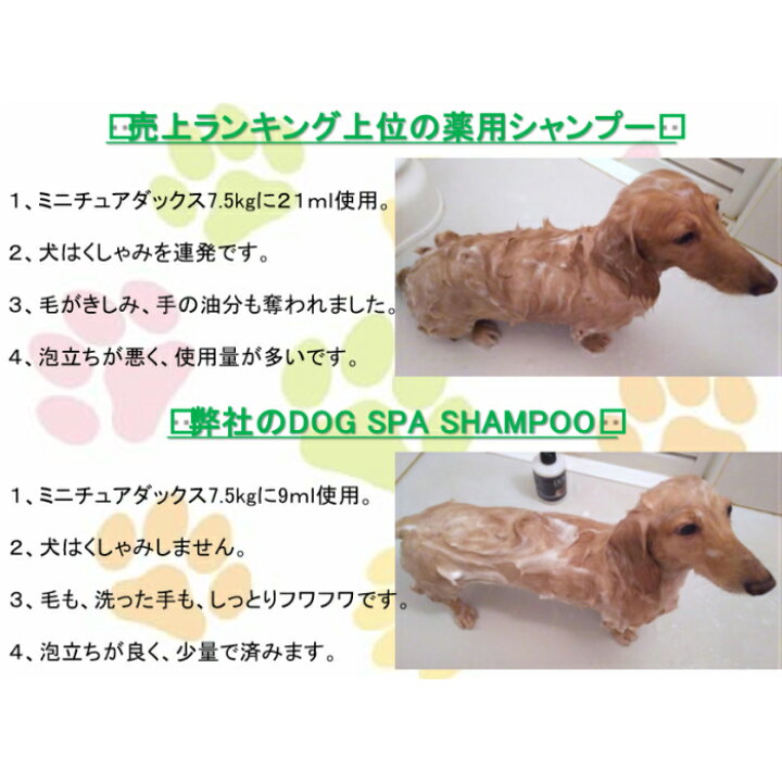 楽天市場 犬 ネコ シャンプー トリートメント In シャンプー 無香料 無着色 チワワ 小型犬 中型犬 超小型犬 シャンプー ノンストレス ドッグスパシャンプー Dna ケア ノンストレス 量化 仕上がり フワフワ 400ml入り ボリュームアップ 低刺激 シャンプー 肌ケア 皮膚被毛