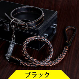 本革リード 首輪 セット 大型犬 リード＆首輪 中型犬 リード＆首輪 メタル カッコいいリード リード ハーネス ドッグカラー ドッグリード 大型犬 お散歩ロープ 中型犬 お散歩ロープ お散歩用リード ハーネス 丈夫 快適 即納 送料無料 ハードボイルド