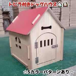 hAt  gr 5J[p^[@hbOnEX ؐ  k  DIY g  nEX ybgp  O ^ ^ LTCY  hbOnEX ybgnEX 