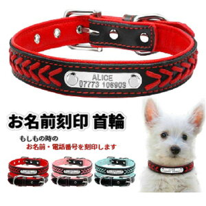 O |Cg  Il[ hbOJ[ dbԍ t   킢    т qD  CjV qh~̎ O ҂ݍ