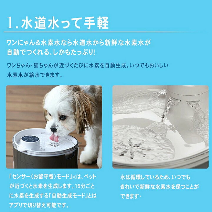 楽天市場】ペット用水素自動給水器 ワンにゃん 水素水 ウォーター 
