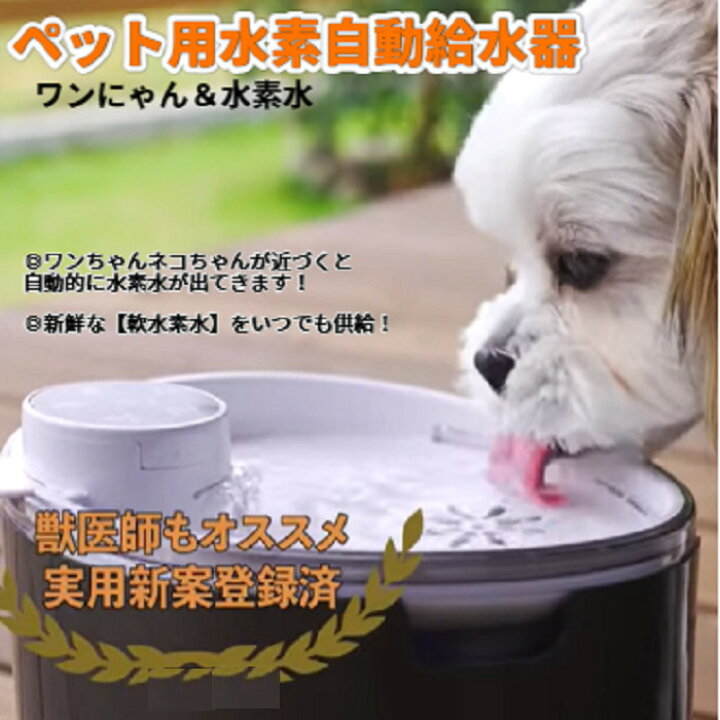 楽天市場】ペット用水素自動給水器 ワンにゃん 水素水 ウォーター 