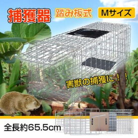 動物捕獲器 動物捕獲檻 猫 アニマルトラップ Mサイズ トラップ 箱罠 イタチ ハクビシン 害獣 害獣 駆除 ネズミ捕り 農業 農作物 捕獲 踏板式 捕獲機 動物 小動物 子猫 罠 鼠 保護 庭 畑 餌 アニマルキャッチャー 簡単設置 新発売 新商品 送料無料
