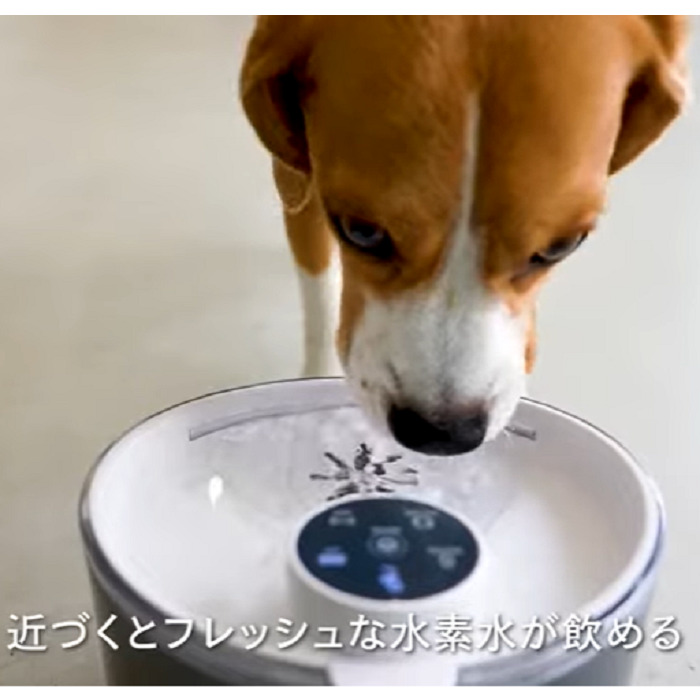 楽天市場】ペット用水素自動給水器 ワンにゃん 水素水 ウォーター