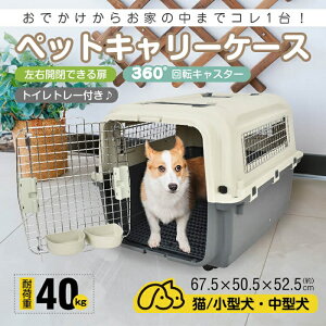ybgpL[P[X ω׏d 40kg ^ ^p ybgp P[W Q[W o L[obO lRp fpL[obO V_[ 莝 s v[h _bNX ` 