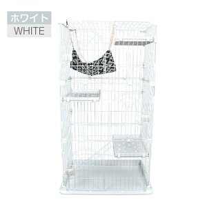 nbN 傫 LbgP[W 3ʔ tI[v 3i^ 1i 2i 3J[ qL eL L L LX^[t q Q gC n L P[W Q[W [ ot ^