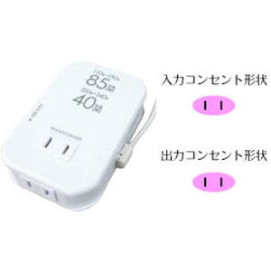 �y�����y�֓�_�Ή��z�J�V����NTI-111�C�O�p���^2���ψ���USB �_�E���g�����X (110-130V220-240V)[4907986031119]