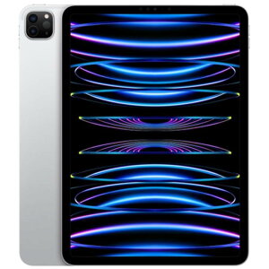 yKizAPPLEiAbvjiPad Pro 11C` Wi-Fi 1TB MNXL3J/A@Vo[4 Wi-Fi 1TB 2022Nf[4549995347449]