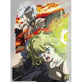 BD / TVアニメ / ダンジョンに出会いを求めるのは間違っているだろうかIV Vol.4(Blu-ray) (Blu-ray+CD) (初回仕様版) / 1000820619