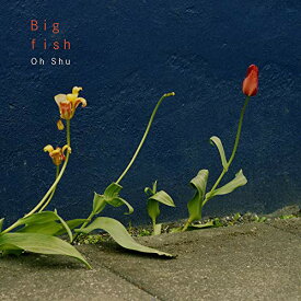 CD / 王舟 / Big fish / PECF-1171