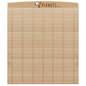 yz R H@Ή  SNOOPYXP[^[(Skater)