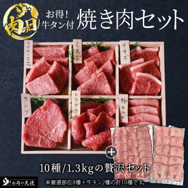 ＼限定商品49％OFF／豪華10種 焼肉詰め合わせセット【送料無料】繁盛焼肉店 焼肉 計10種！ 牛タン 2種 が入った 食べ比べ 焼き肉セット（6人前）【送料無料】自宅用 肉 牛肉 食べ比べ 霜降り