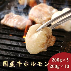 お肉の時間。 国産牛ホルモン もつ鍋・焼肉・もつ焼用 小分け冷凍 お得セット 選べる 1kg(200g×5袋)・2kg(200g×10袋)