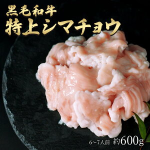 ギフト 黒毛和牛 国産 神様の 【特上】シマチョウ 和牛 A4〜A5ランク 約600g 約6〜7人前 焼肉 国産牛 牛 希少 部位 テッチャン 大腸 牛 ホルモン 牛肉 焼き肉 ホルモン焼 もつ鍋 モツ 冷凍 肉 グ