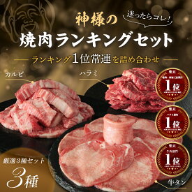 ギフト 焼肉 人気部位3種 神様のランキングセット 牛タン 国産カルビ ハラミ 約500g 約1kg 焼き肉 肉 約4〜5人前 10〜11人前 1キロ 食べ比べ 牛肉 焼き肉セット 詰め合わせ グルメ お取り寄せ 冷凍 焼肉セット お肉 盛り合わせ 焼くだけ 訳あり（訳アリ)ではござ