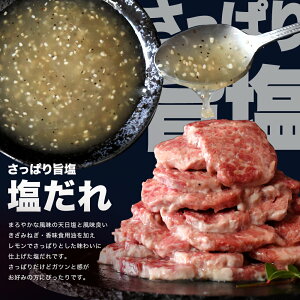 Mtg ē   󂠂 Iׂ ~ n~ 500g W[V[H  ē  ͂ O Hה (킯/A) n~ tK e ē̂ 