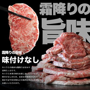 Mtg ē   󂠂 Iׂ ~ n~ 500g W[V[H  ē  ͂ O Hה (킯/A) n~ tK e ē̂ 