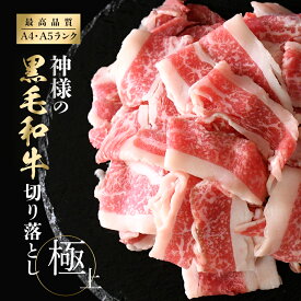 ギフト 肉 送料無料 黒毛和牛 国産 神様の 切り落とし 極上 約500g 約1kg 約5～6人前 約10～11人前 250g×2パック 250g×4パック すき焼き しゃぶしゃぶ 焼肉 薄切り スライス 切落し 切り落し 和牛 食品 グルメ 小分け 冷凍 訳ありではございません 内祝い