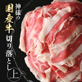 ギフト 肉 送料無料 北海道産 神様の 切り落とし 上 約500g 約1kg 約5～6人前 約10～11人前 約1kg 250g×2パック 250g×4パック すき焼き しゃぶしゃぶ 焼肉 薄切り スライス 切落し 切り落し 食品 グルメ 小分け 冷凍 訳ありではございません 内祝い