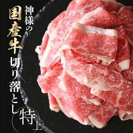 ギフト 肉 送料無料 国産 神様の 切り落とし 特上 約500g 約1kg 約5～6人前 約10～11人前 250g×2パック 250g×4パック すき焼き しゃぶしゃぶ 焼肉 薄切り スライス 切落し 切り落し 食品 グルメ 小分け 冷凍 訳ありではございません 内祝い お祝い