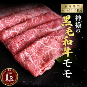 Mtg _l јa yz  ؂ Ă Ԃ a A4`A5N 300g 600g 900g 1.2kg 2~3lO 4~5lO 6~7lO 8~9lO  a  Y ~ 