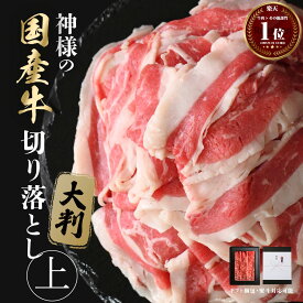 ギフト お年賀 にも 送料無料 北海道産 神様の 切り落とし【上】 国産牛 大判 約250g 約500g 約1kg（1キロ） 約2〜3人前 約5〜6人前 約10〜11人前 約1kg 250g×2パック 250g×4パック すき焼き しゃぶしゃぶ 焼肉 肉 薄切り スライス 小分け 冷凍 訳あり ではございません