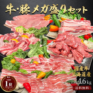 ギフト北海道産 牛肉 豚肉 メガ盛り セット 約4.6kg 牛肉 切り落とし 豚肉 バラスライス 豚 ロース 厚切り 豚バラ ブロック 焼肉 すき焼き しゃぶしゃぶ 薄切り 牛 赤身 煮込み 豚 ブロック肉