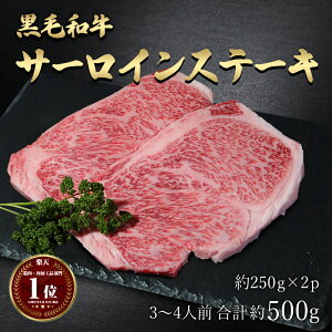 Mtg јa Y yz ؂ [X T[C Xe[L a A4`A5N 3~4lO 500g (250g×2) Y Xe[L̉l ē   Ⓚ   O  󂠂 