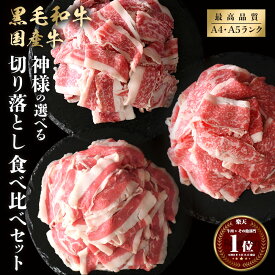 ギフト 肉 送料無料 黒毛和牛 国産 神様の 切り落とし 食べ比べ セット 約500g 約1kg 約5～6人前 約10～11人前 250g×2パック 250g×4パック すき焼き しゃぶしゃぶ 和牛 薄切り スライス 盛り合わせ 焼き肉 焼肉 グルメ 訳あり(ワケあり/訳アリ)ではございません