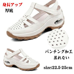 X|[cT_ Xj[J[ fB[X gAbv xN p`OH Ȃ T}[T_ ʋC ɂ y EH[LO ₷ IV o W[ 