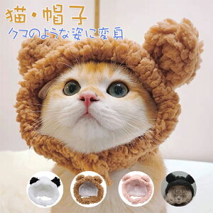 Lp Xq h h  ʂ 蕨 ڗ܂莨tXq 킢  ʐ^Be   Xq  v[g H~ ӂӂ ANZT[ L Ԃ 蕨 X