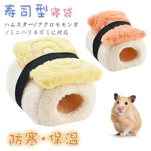 nX^[NbVxbh ~p gnX^[nEX RR ӂӂ |Pbgxbh  i^Q Vя xe h ۉ bg/``/tNK/