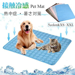 p Ђv[g MǑ΍ ⊴v[g}bg N[V[g N[}bg  ăObY MǑ΍ LETMnlY~nX^[gg bgpr ې ybg}b