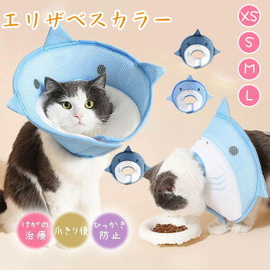 LpGUxXJ[ Lp\tgGUxXJ[ yʃybgGUxXJ[ ȒP ܂_炩 pi p  p̏یGUxXJ[ p㒅pEFA r