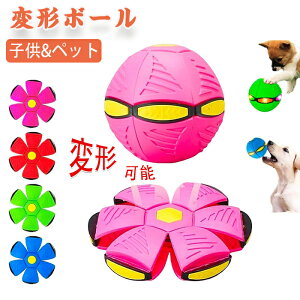 yԌE300~OFFN[|zLbN{[ ˂ }WbN{[ ό`\ȃ{[ JtȃCg ybĝ XgX qmߋ ̂ OQ[ 3Έ