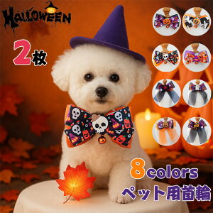 2Zbg Lp ˂ ybgpi `FbN J[ `[J[ Z[teB[obN lN^C { nEBlN^C ybg L̃nEBANZT[ lN^C  