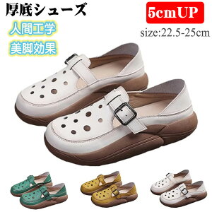 V[YfB[XJWAXj[J[2WAY^CvXj[J[5cm gUPlԍHw JWAV[Y T_ yʐ݌v ~ r 芴ʋCK L ʋC t  EH[