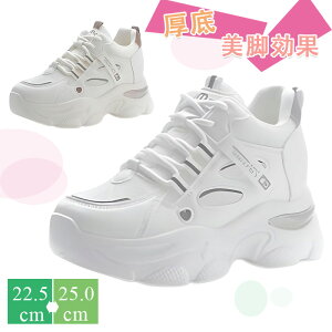 Cq[Xj[J[ fB[X Xj[J[  V[NbgV[Y ϊ ʋC K y rXj[J[  X|[c ʋ jO fC[ JWAV[Y r 