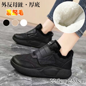 Xj[J[ fB[X O Xb| EH[LOV[Y ~C {A Xj[J[  [gV[Y N RtH[gV[Y ₷ ₷ 