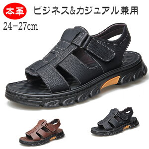 {vT_ X|[cT_ ItBXT_ Y T_ O Ƃ藚Sn JWArWlXT_ 24-27cmAEghA ItBX ^] EH[LO y 