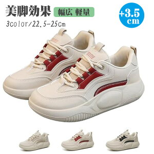 _CGbgXj[J[ fB[XV[Y  Xj[J[ V[YtďH~ 3.5cmXj[J[ ՌzJWAV[Y gAbv EH[LOV[Y X|[cV[Y nC