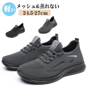 X|[cV[Y Xj[J[ Y y Xb|jp _炩  jOV[Y L  JWA ϖՐV[Y ʋC Ȃ ^C bV  