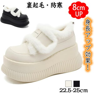 V[Y fB[X JV ~  [gu[c Xm[u[c{AXb| u[eBN Xj[J[ r 8cm gAbv hV[Y  ʊw 