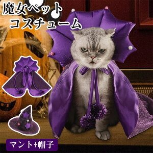 ybgp RX`[ RXvߑ ybg ybgX RX`[  ϑ nEB[ nEB p[eB[ hbOEFA ʔ  nEBRX`[ L}g X