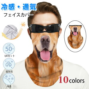 tFCXJo[ uvJbg  ʔ Ăh~ UPF50+ ⊴ ėp z  Y fB[X O΍ ꂵȂ Ă\h AEghA RXv s St 